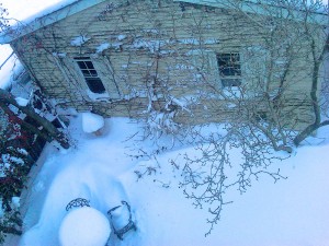 Courtyard in snow